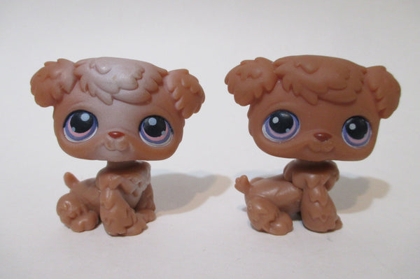 Littlest Pet Shop Poodle Lot -   Little pets, Little pet shop, Littlest  pet shop