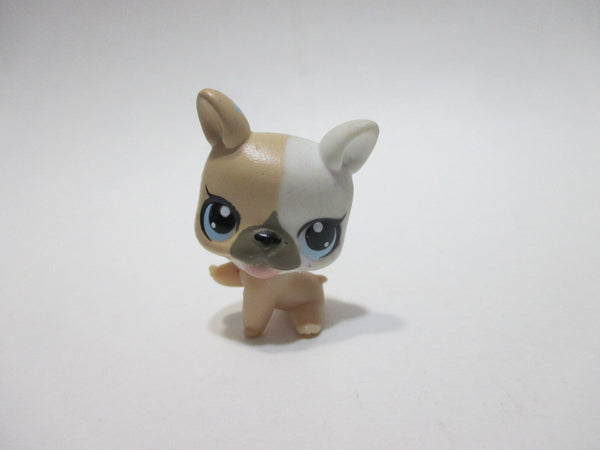 Littlest Pet Shop Trade/Sell/Anything Lps