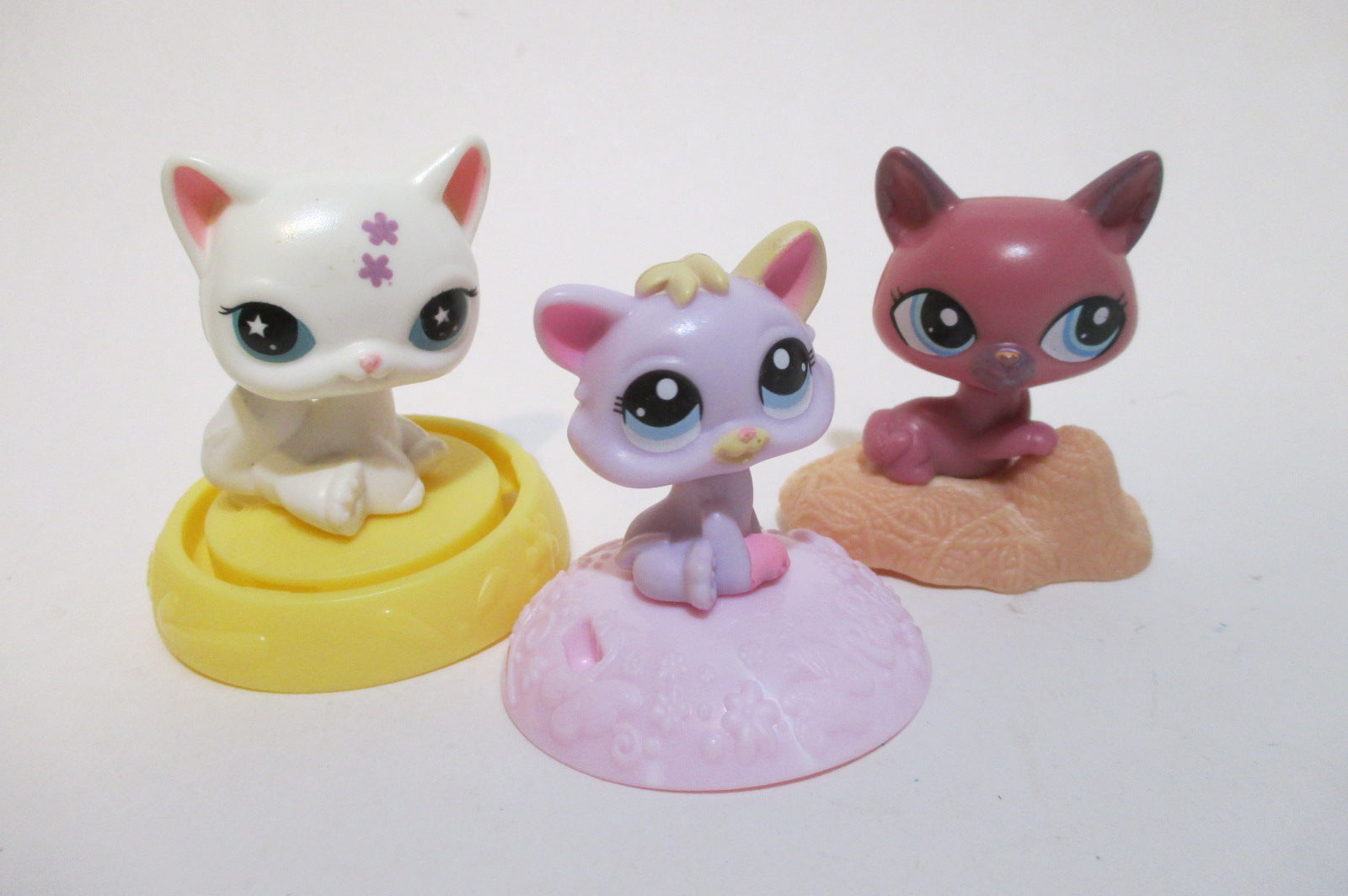 Pet Shop Figure Collection Toys, Pet Shop Shorthair Toy