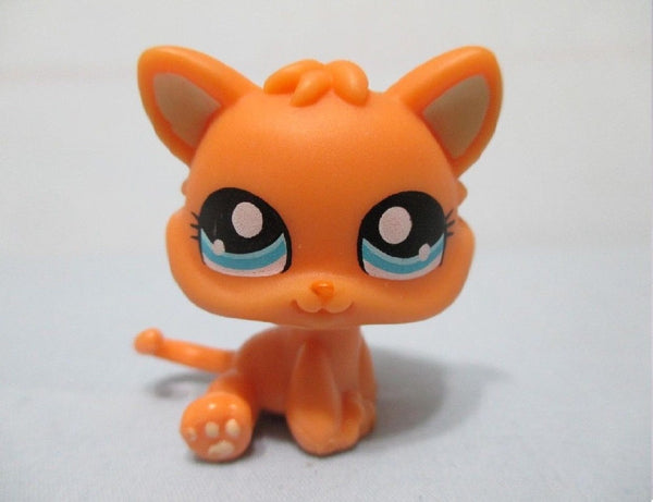 Lps kittens and store puppies