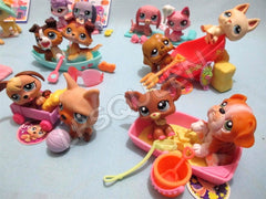 Littlest Pet Shop, Pet Surprise Trios