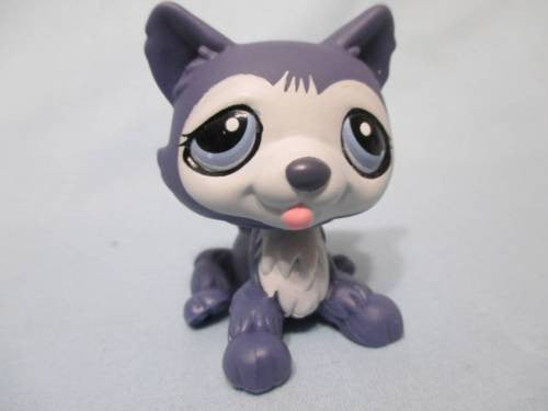 Lps blue fashion dog